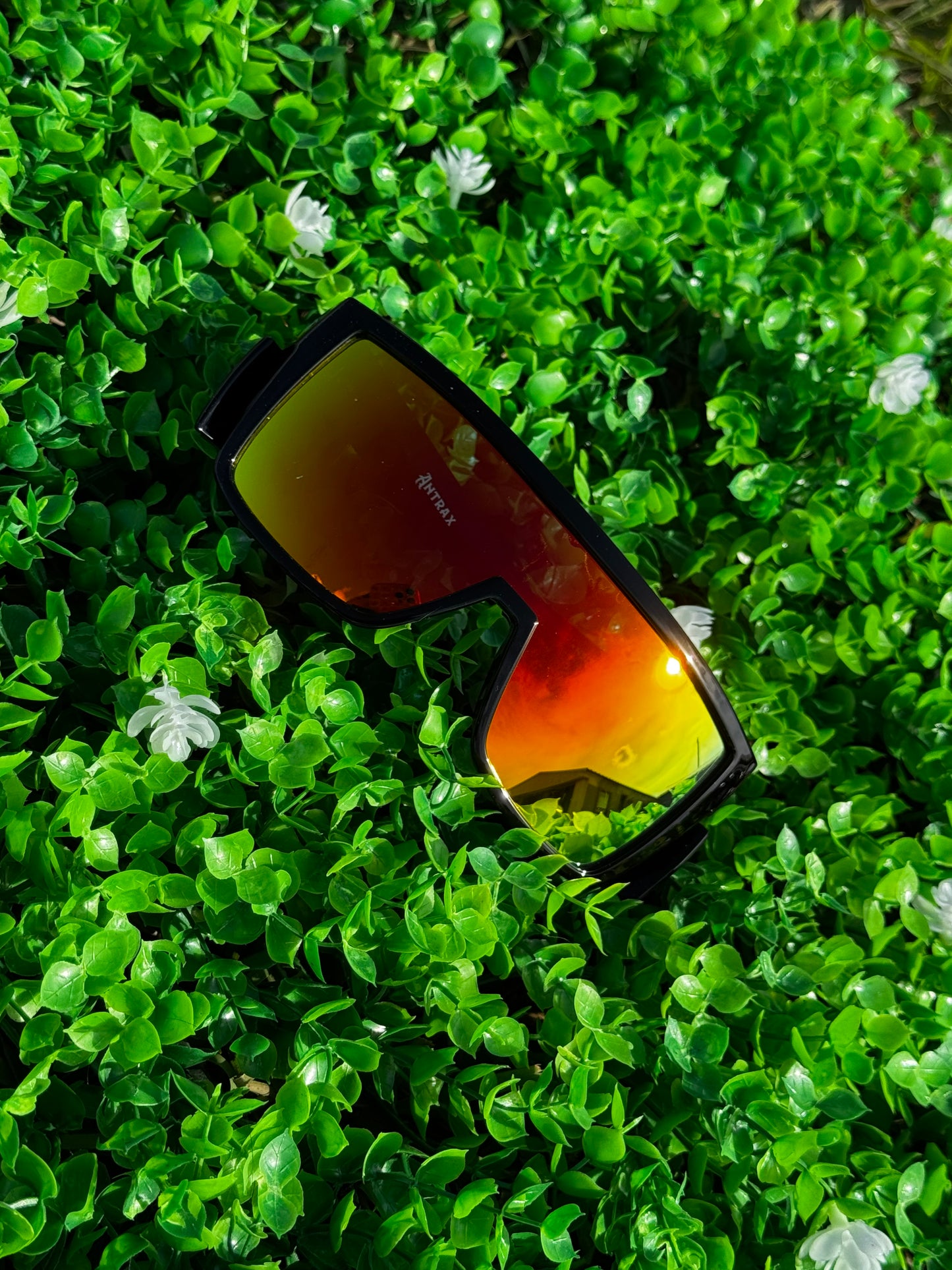 Z87 glasses